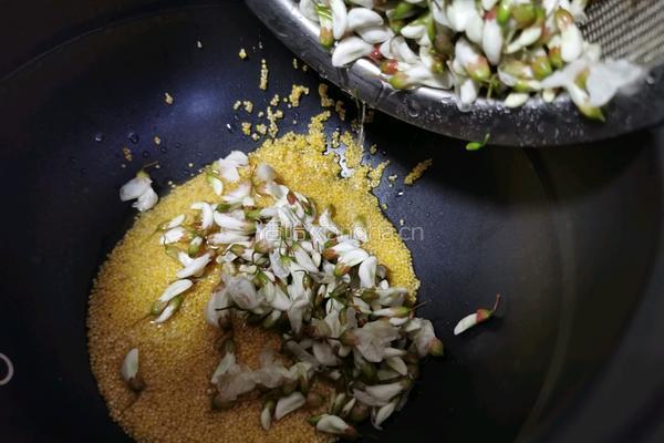 洋槐花小米粥的做法图解5