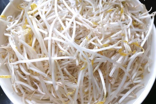 韭菜炒豆芽的做法图解1