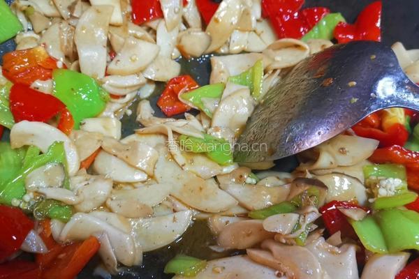 鸡腿菇炒肉的做法图解9
