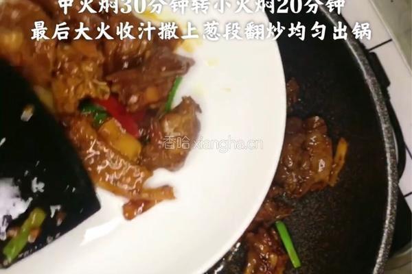 【家常啤酒鸭】酒香浓郁 风味十足的四川名菜的做法图解8