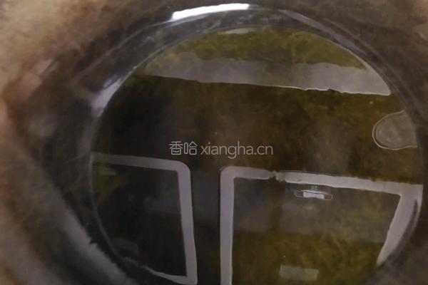 酸菜鱼的做法图解9