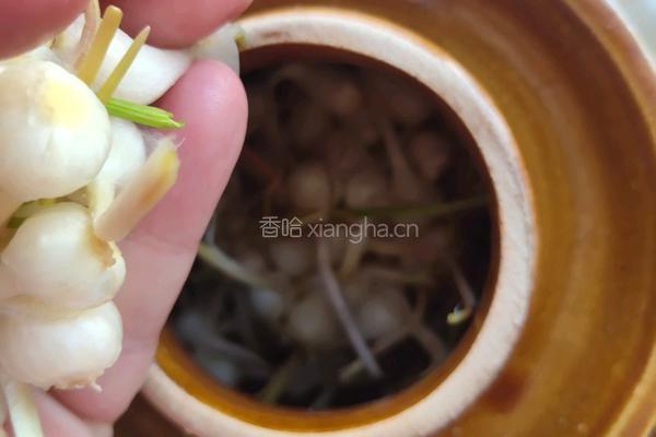 小咸菜的做法图解8
