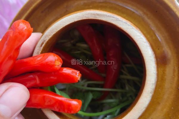 小咸菜的做法图解9
