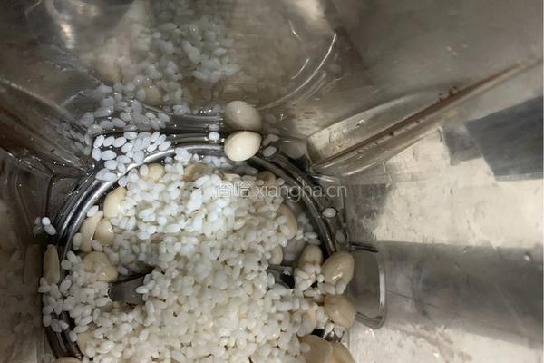 花生酪的做法图解4