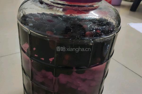 桑椹酒的做法图解6