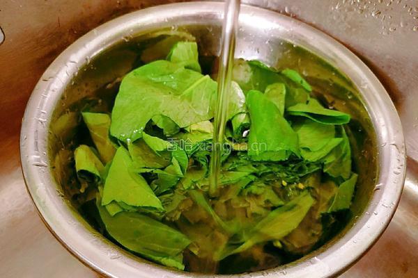 菜心猪肉包子的做法图解6