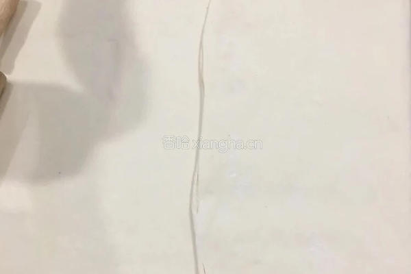 广式 港式 榴莲酥 叉烧酥 萝卜酥(萝卜馅配方)的做法图解5