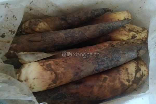 油焖笋的做法图解1