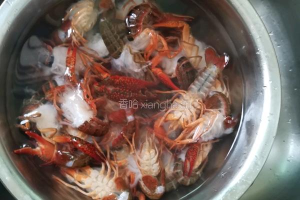 麻辣小龙虾的做法图解2