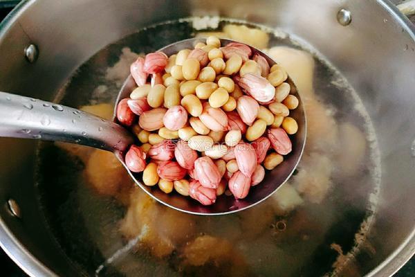 花生黄豆白萝卜鸡汤的做法图解7