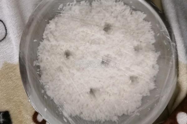 甜酒酿制作的做法图解3