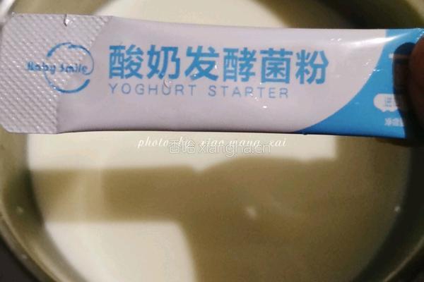 纯手工自制酸奶的做法图解4