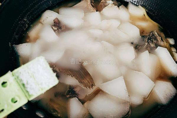 白萝卜鱼头汤的做法图解14