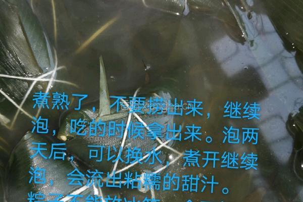 甜糯粽子的做法图解9