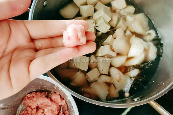 海带豆腐白萝卜肉丸汤的做法图解16