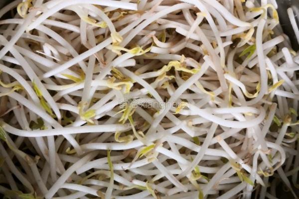 胡萝卜丝炒豆芽的做法图解1
