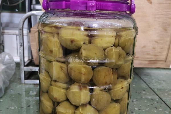 酸甜话梅的做法图解3