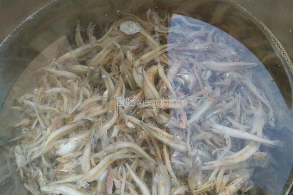 宝宝版银鱼粉的做法图解2