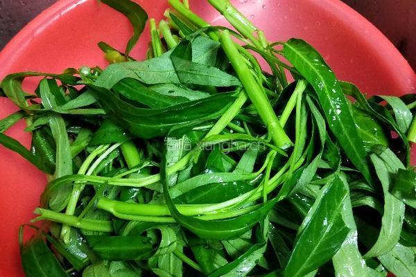 蒜香空心菜的做法图解1