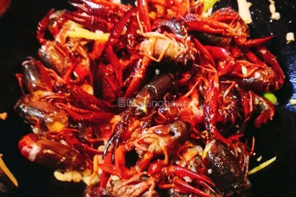 啤酒焖小龙虾的做法图解6
