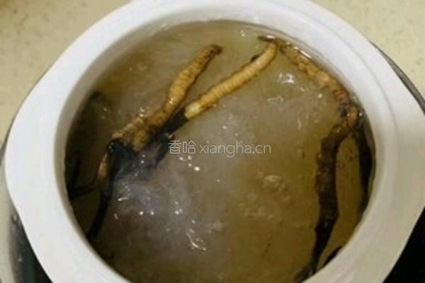 低调奢华有内涵虫草炖燕窝的做法图解3