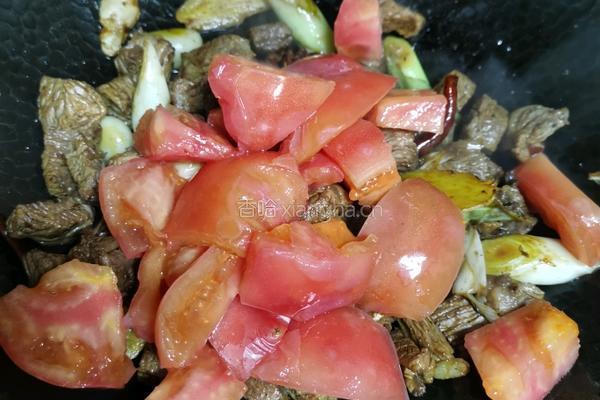 土豆西红柿炖牛肉的做法图解5