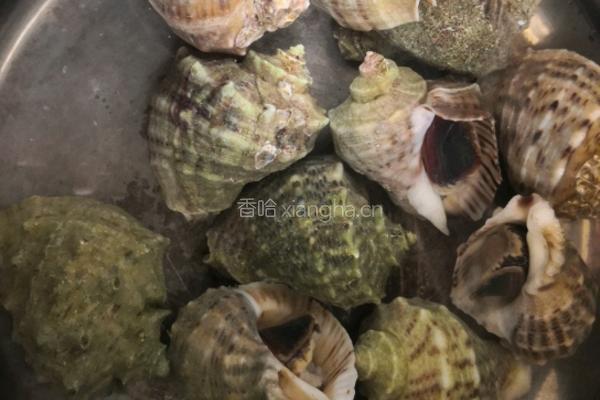 姜汁海螺的做法图解2
