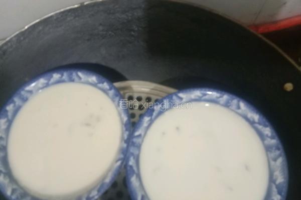 鱼胶冻（双皮奶（简易的做法图解4