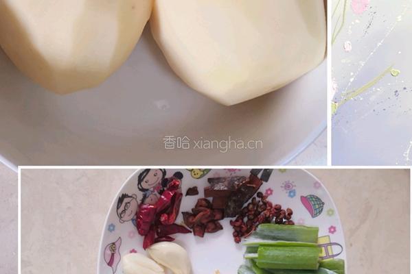 土豆炖东北大鹅的做法图解1