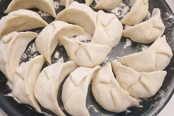 猪肉香菇水饺的做法图解9