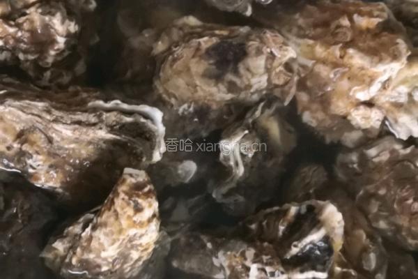 蒜蓉粉丝生蚝的做法图解1