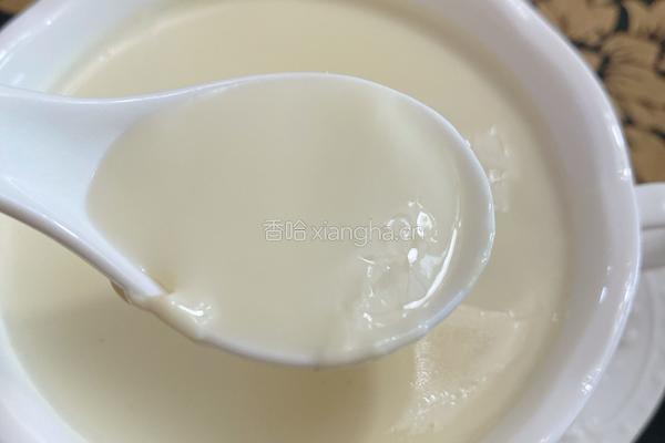 姜撞奶的做法图解10