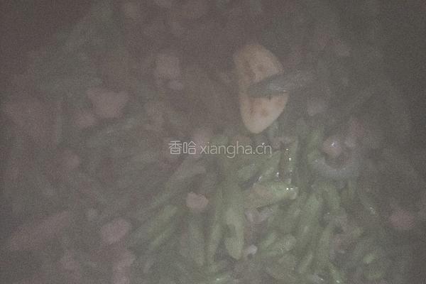 肉沫四季豆的做法图解7