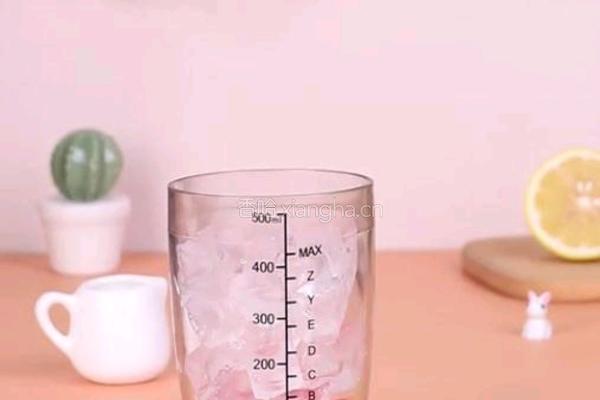 蜜桃柠檬绿茶的做法图解3