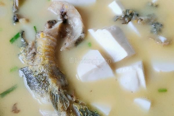 昂刺鱼豆腐汤的做法图解6