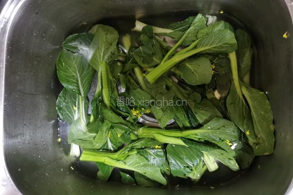 水煮菜心 的做法图解1