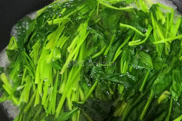 素菜馅包子的做法图解4