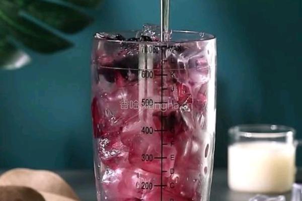 桑葚果酸乳的做法图解4