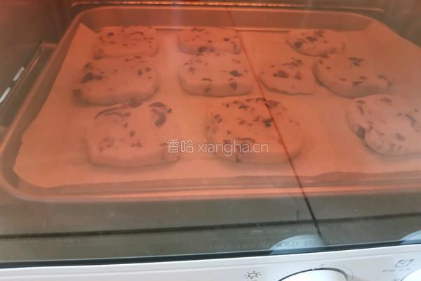 蔓越莓饼干的做法图解6