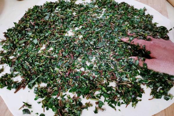 香嫩马齿笕菜饼的做法图解5