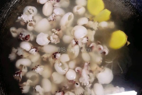 墨鱼仔烩花蛤的做法图解2