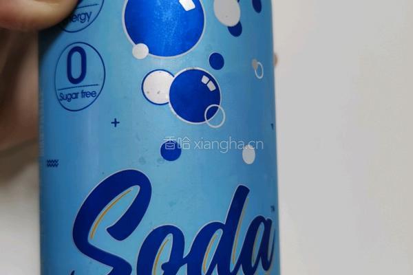 荔枝苏打气泡水的做法图解4
