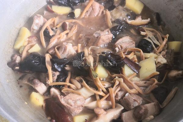 蘑菇土豆炖排骨的做法图解13