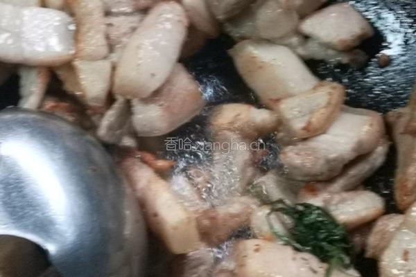 超级好吃的红烧肉的做法图解4