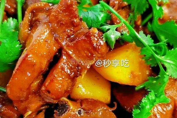 鸡肉焖土豆的做法图解7