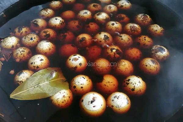 香卤鹌鹑蛋的做法图解6