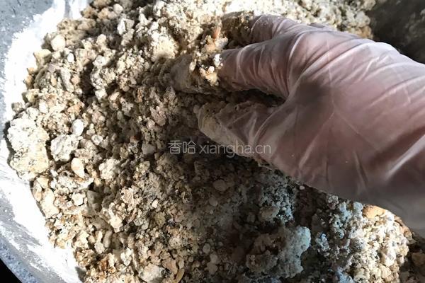 伍仁月饼馅料的做法图解6