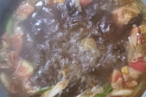 胡萝卜土豆炖牛肉的做法图解5