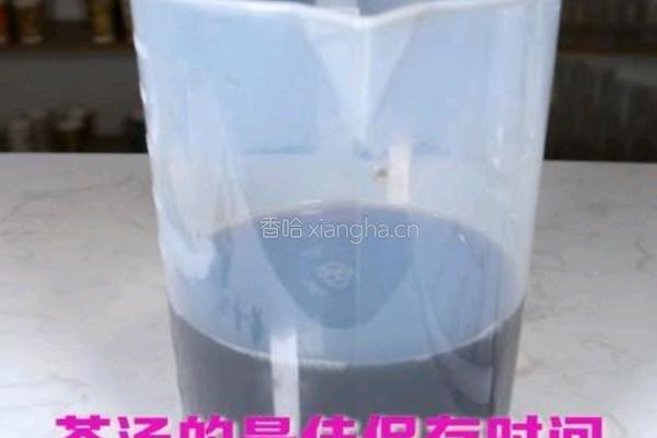 茶饮备料4 炭焙乌龙茶水的做法图解8