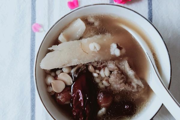 夏季祛湿清补汤的做法图解10